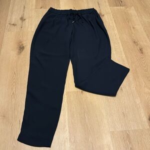 Zara Navy joggers